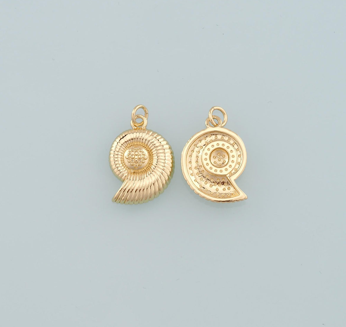 Conch charm
